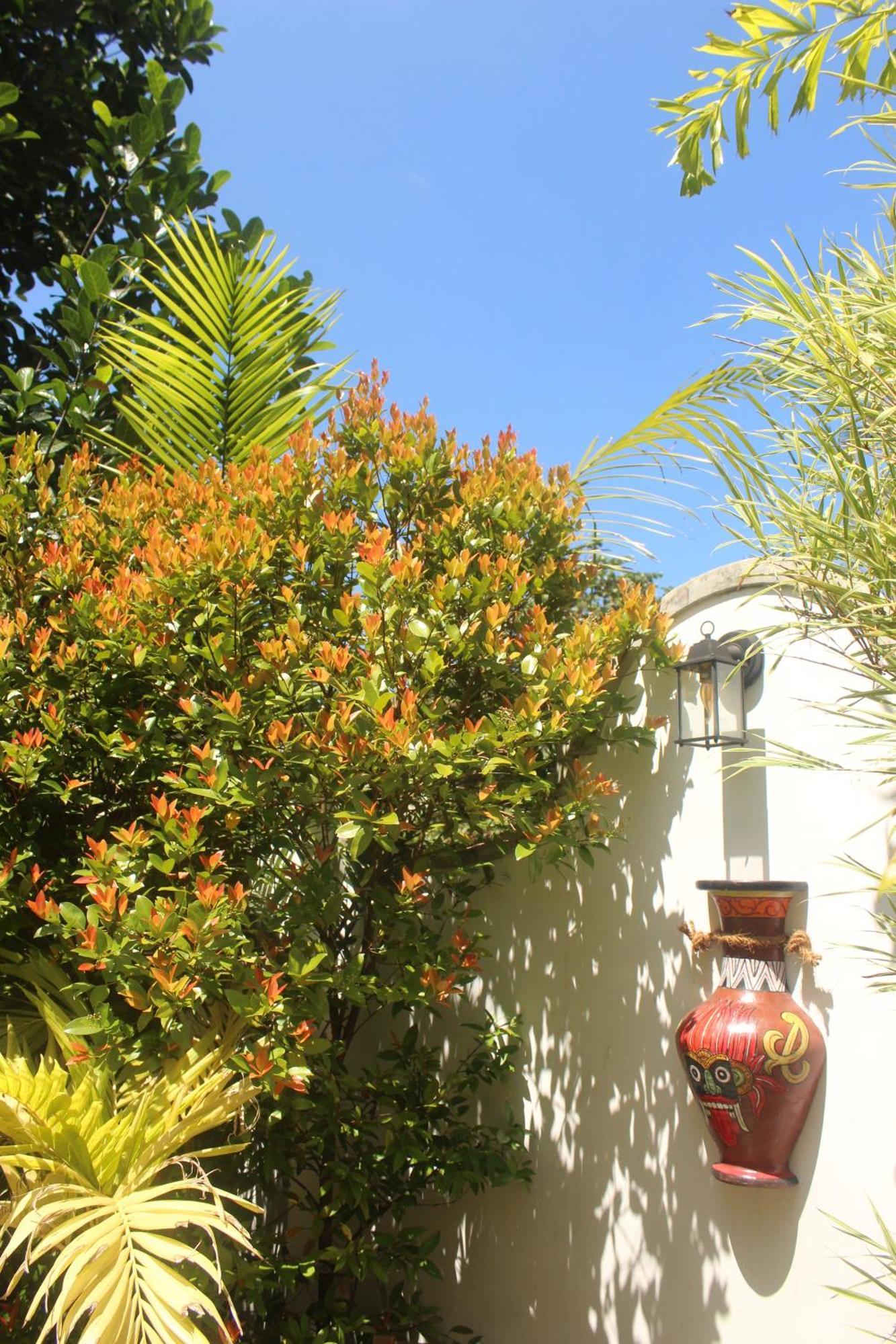 Villa Olde Ceylon Kandy Exterior foto